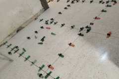 IMG-20260328-WA0077