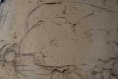 IMG-20260328-WA0135